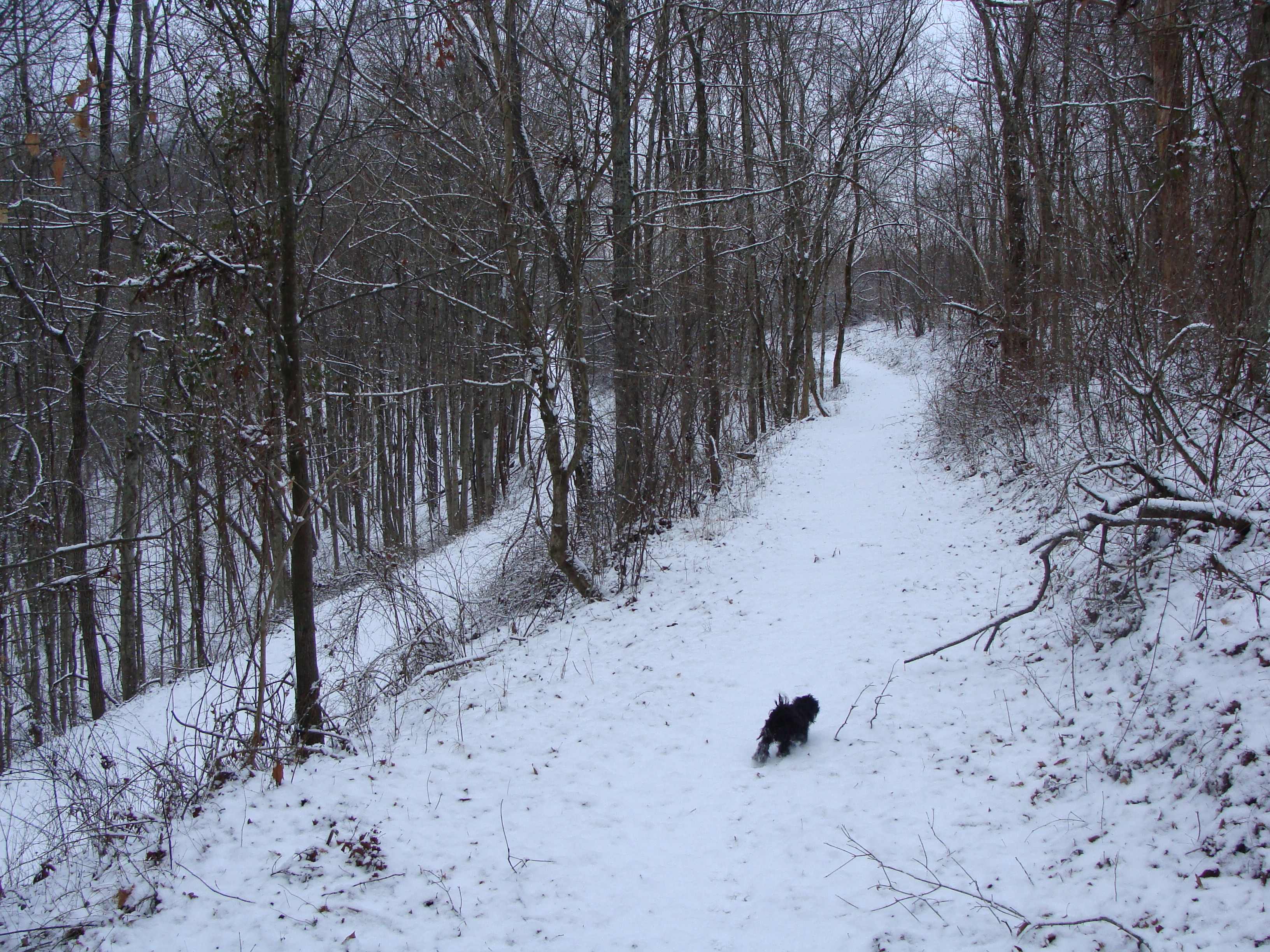Babette walking point.