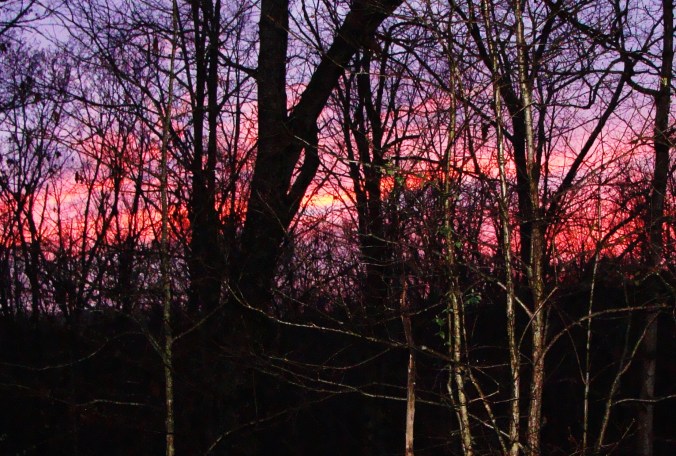 These are the days Connie wishes she could paint.