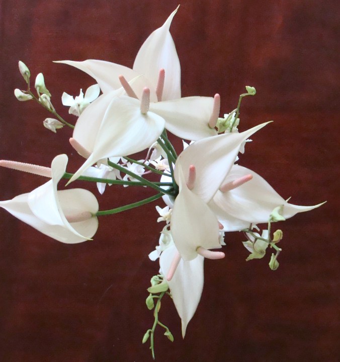 Mother's Day Flower - a white garden of sorts.