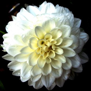 Mmmmmmmmmmm....I'm in love (again).