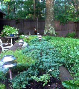 retaining wall bed