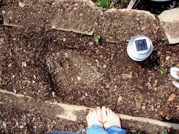 Connie and Fraulein Gertrude von Whomper of Dachshund are fixin' to have an argument.