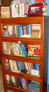 Books, books, and more books.