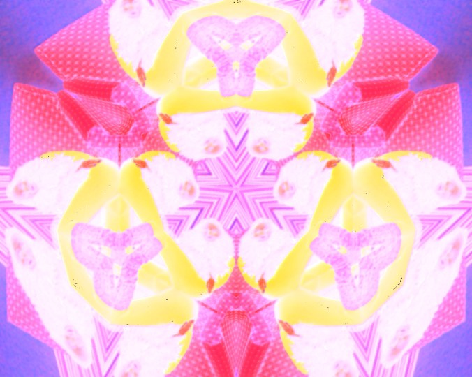 Connie bets that that nobody will guess the nature of the original photo.