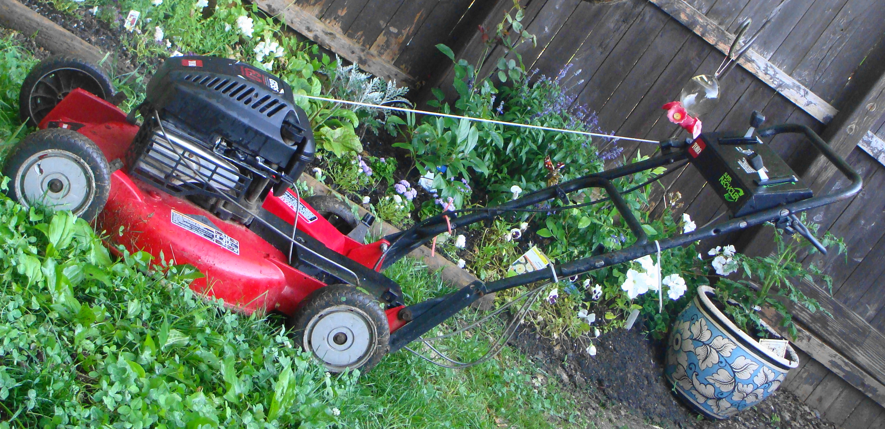 Connie wants a compliant lawnmower.  Now.