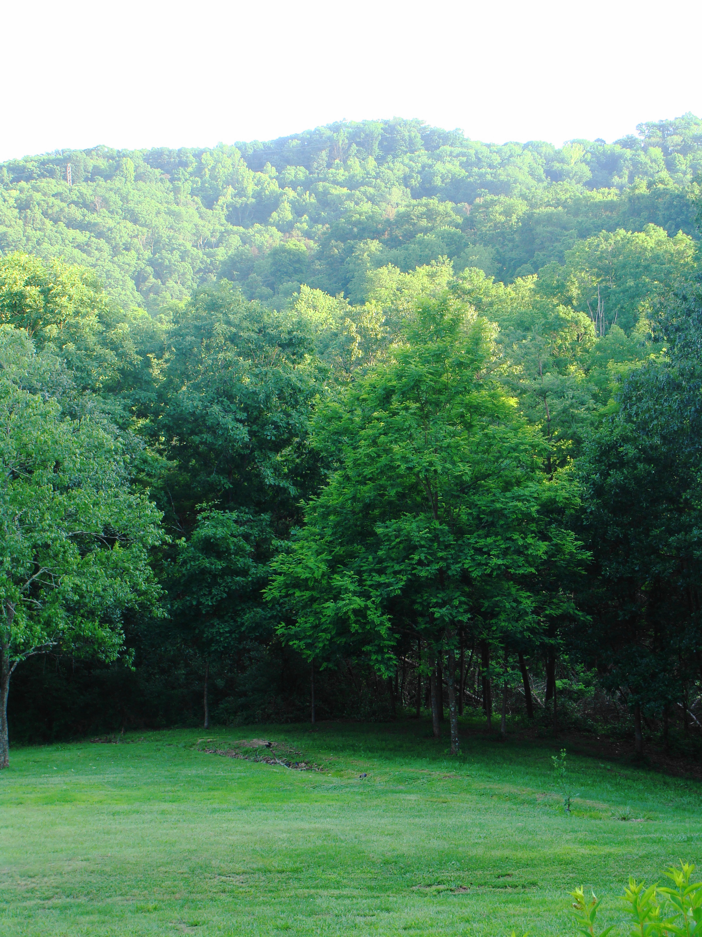       “Mountains are earth's undecaying monuments.” - Nathaniel Hawthorne