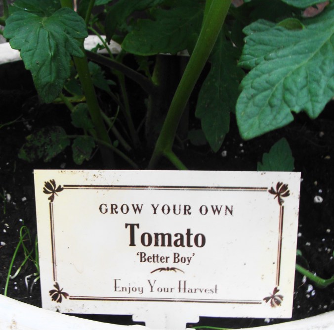 Grow Your Own