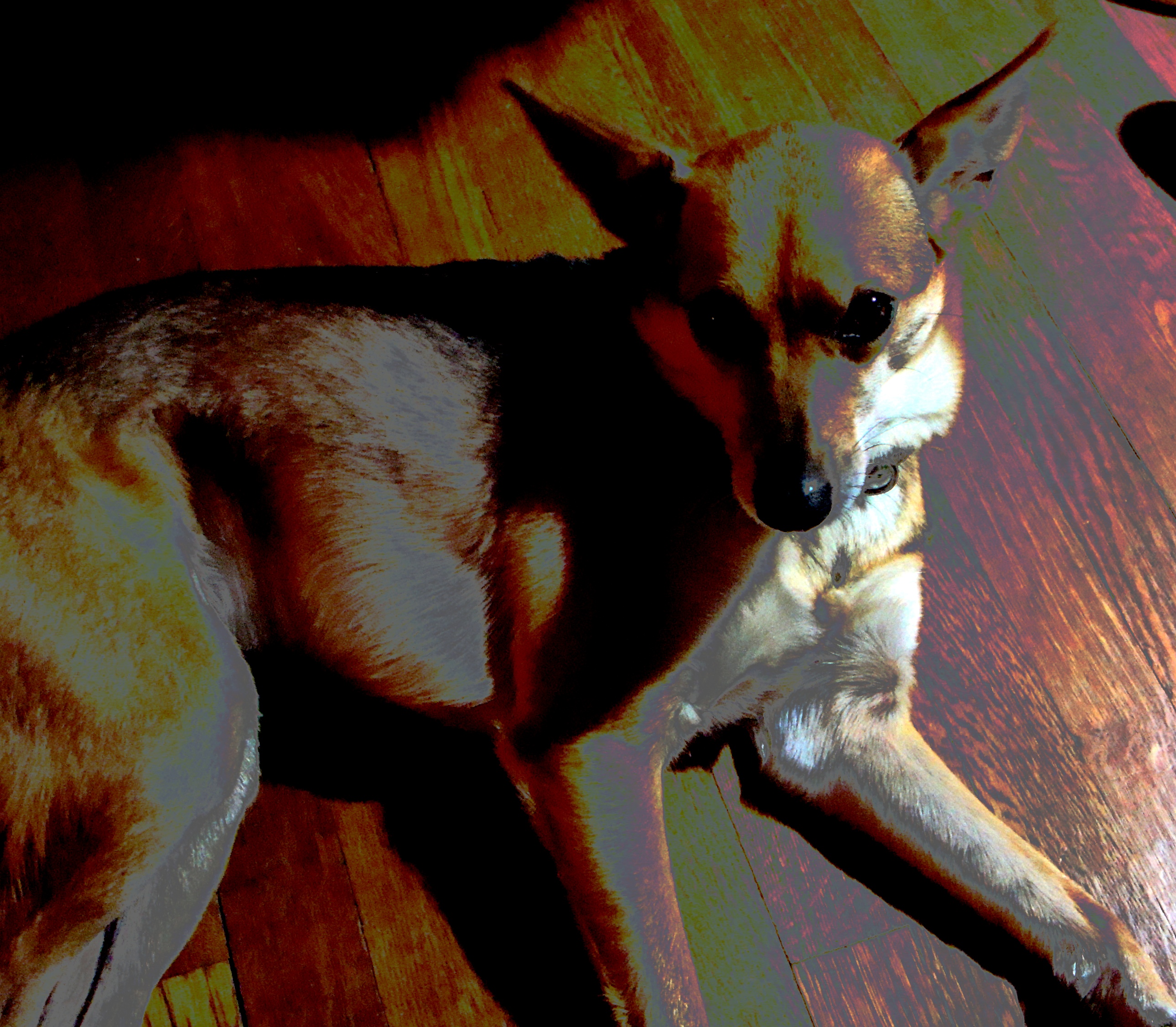 Rescued from the underworld