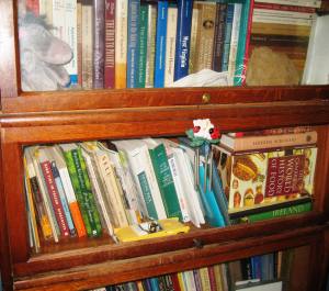 The, um, more scholarly books with toys.