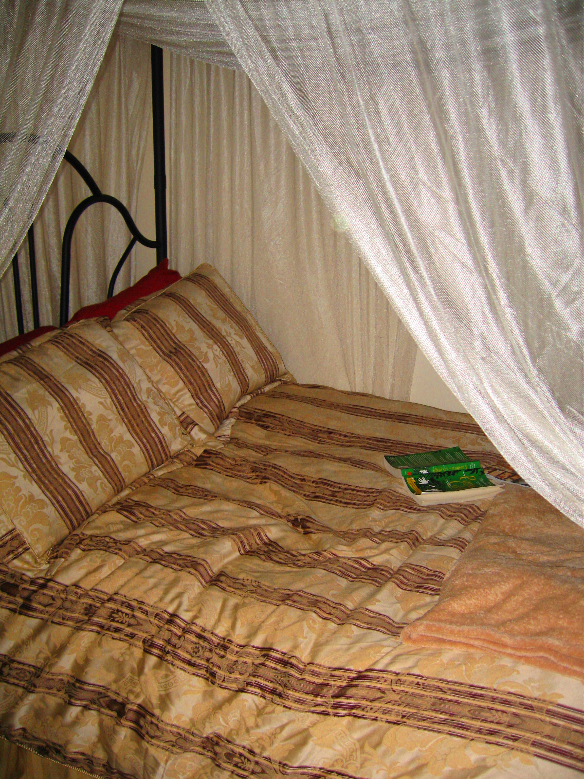 mmmmmm book and a nap