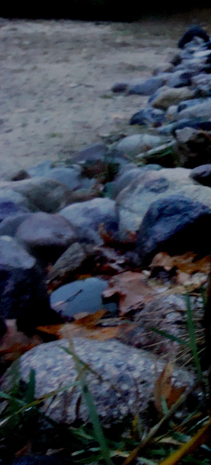 beach rocks