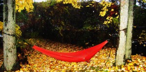 red hammock at dawn
