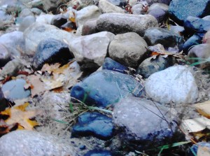 rocks, sand, autumn leaves