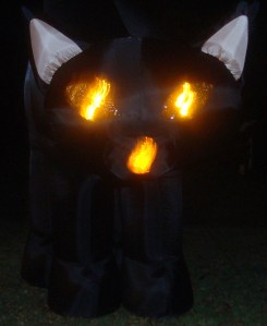 The giant kitty that decorates my uncle's yard.