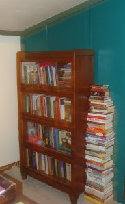 Beloved Bookcase