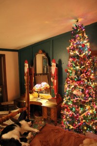 doug's tree guest room 016