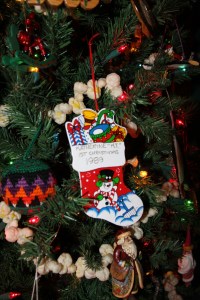 doug's tree guest room 023